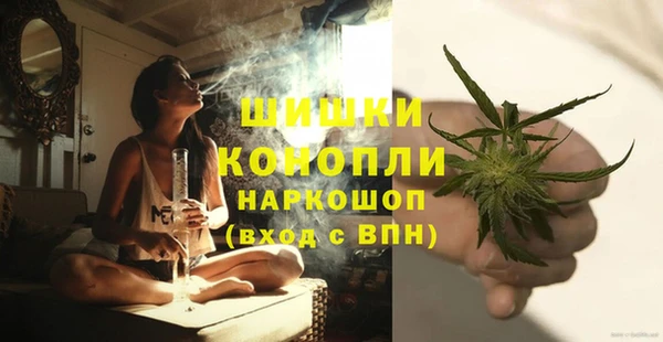гашик Нефтекумск